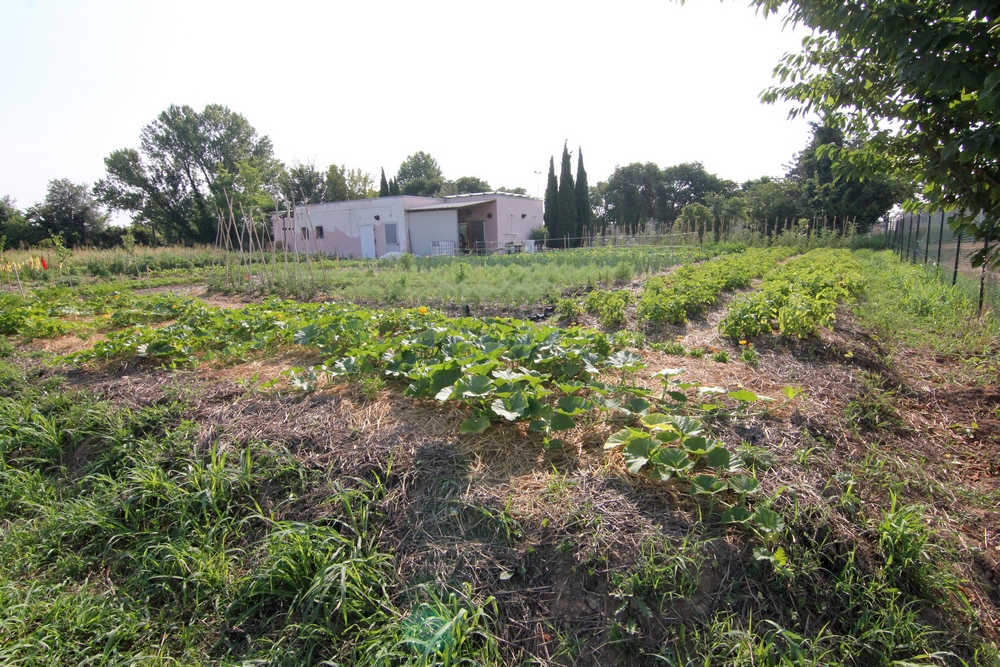  persitoIMG 9565